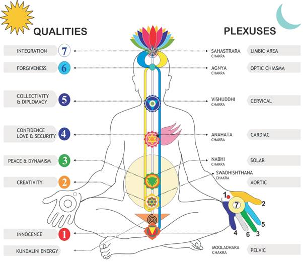 Chakras_en_en_el_cuerpo_humano